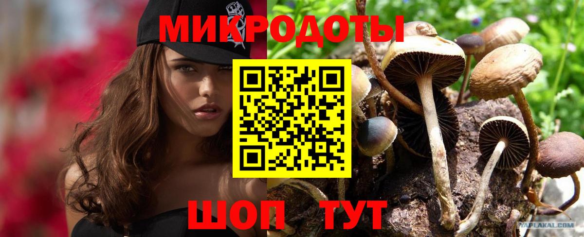 Галлюциногенные грибы Psilocybe  Псилоцибиновые грибы мухоморы  Полевской  Вход с VPN 